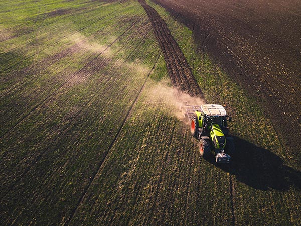agriculture