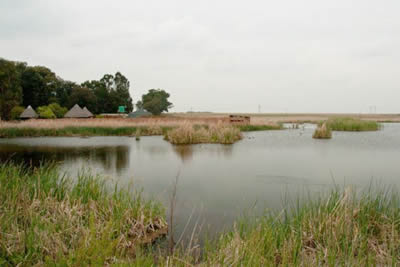 wetlandsinSA