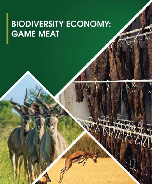 Biodiversity economy: game meat