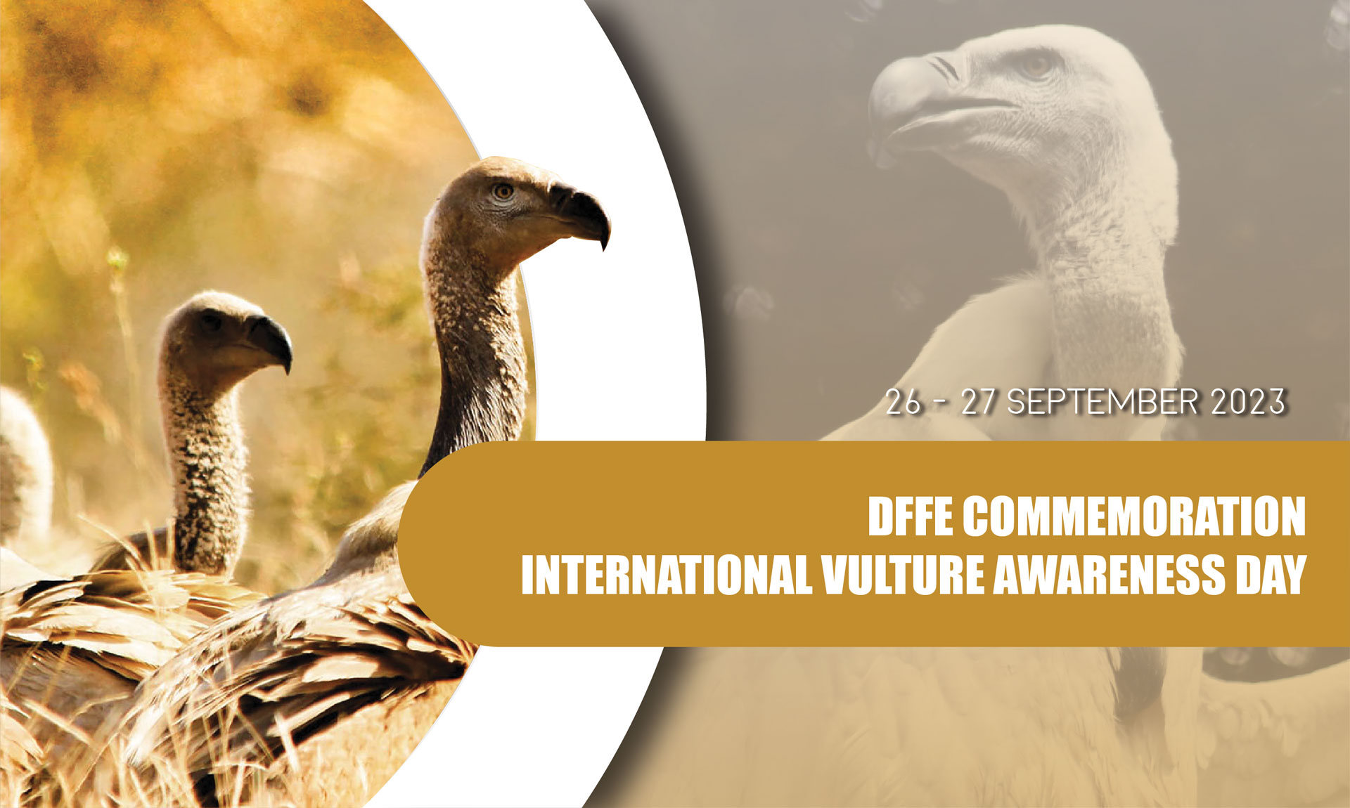 DFFE Commemoration International Vulture Awareness Day
