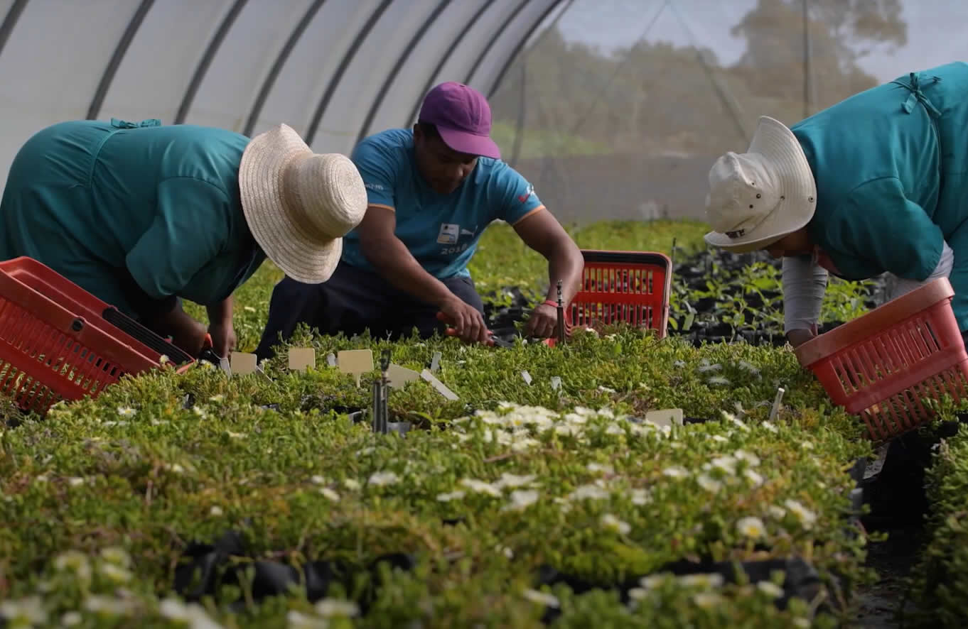 Bioprospecting plant nurseries