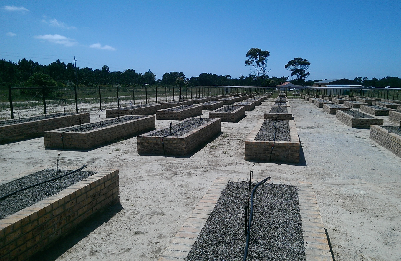 Construction of plant nurseries