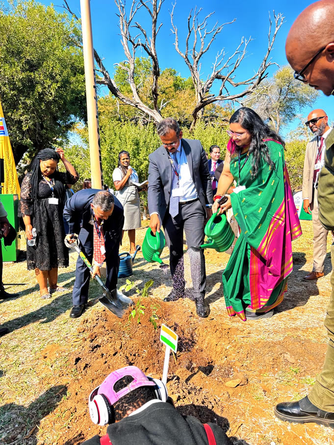Planting South African indigenous trees with G20 South Africa member states - India