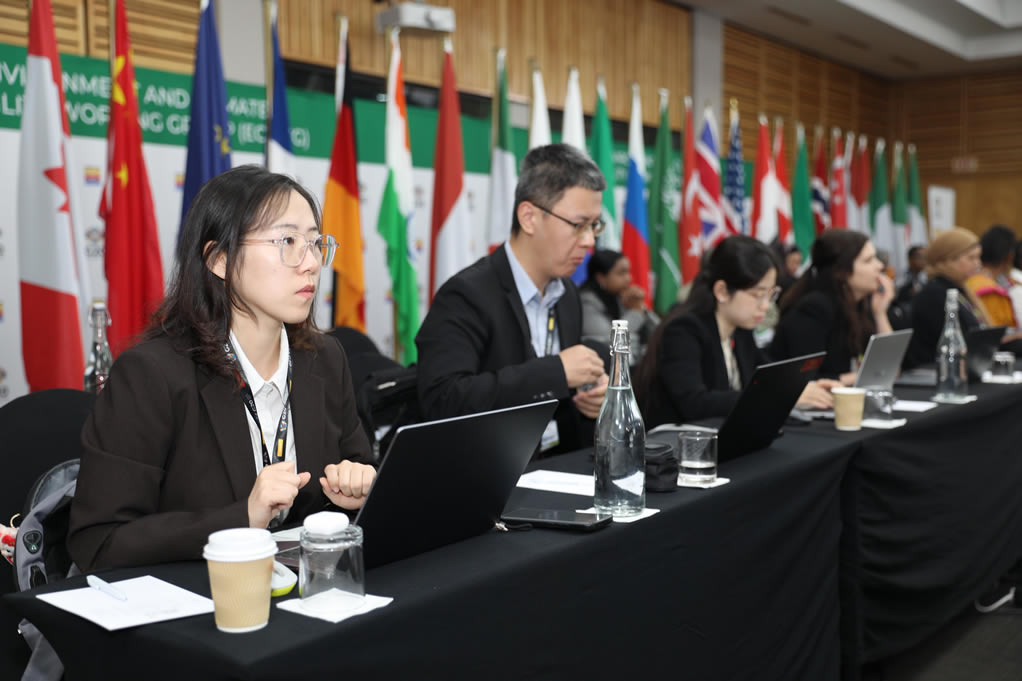 G20 member states delegates